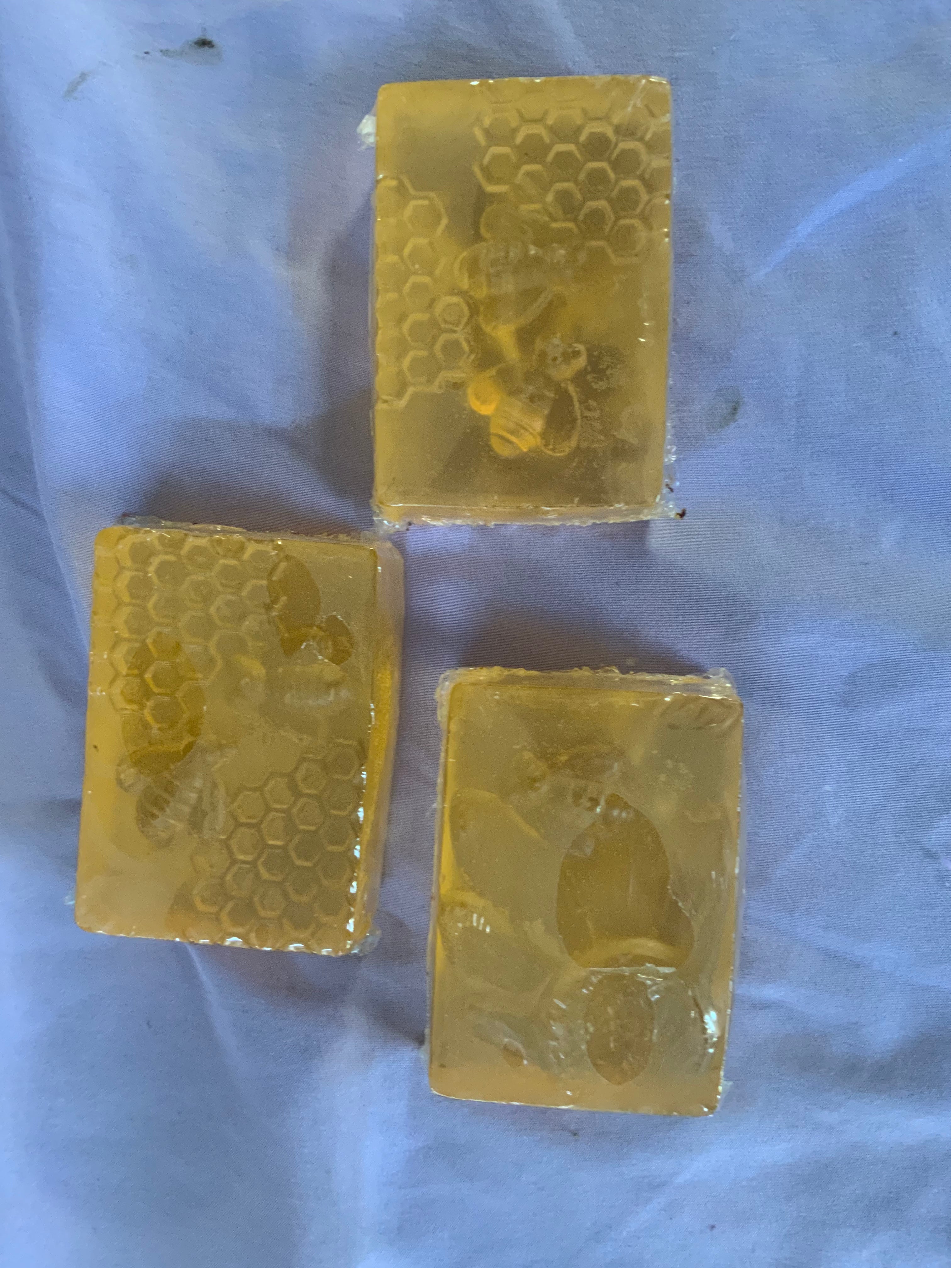 Honey bee