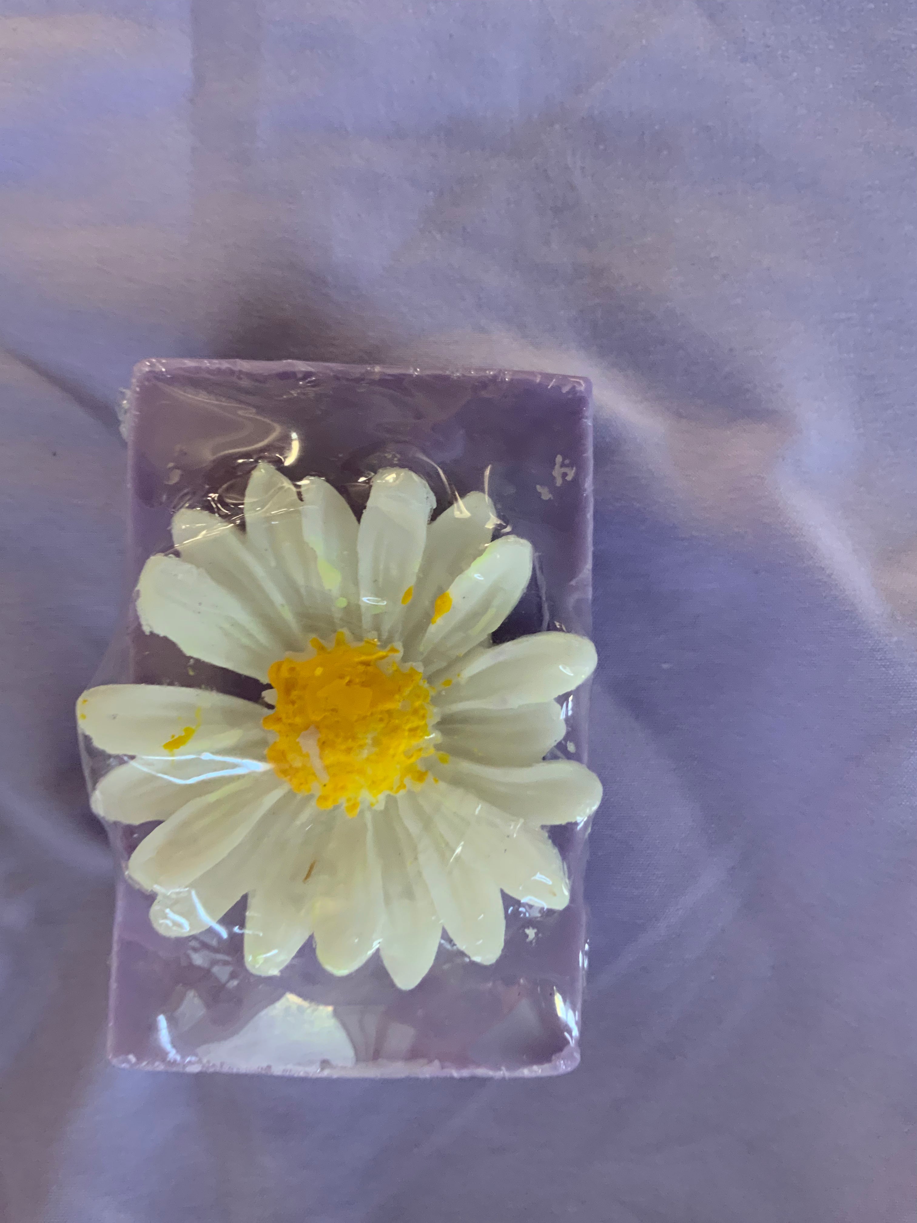 Daisy with purple background